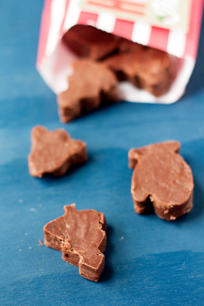 Strawberry Chocolate Fudge Picture